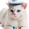 Cat Brush Self-Cleaning wenning Slicker Brush for Cats & Dogs-3