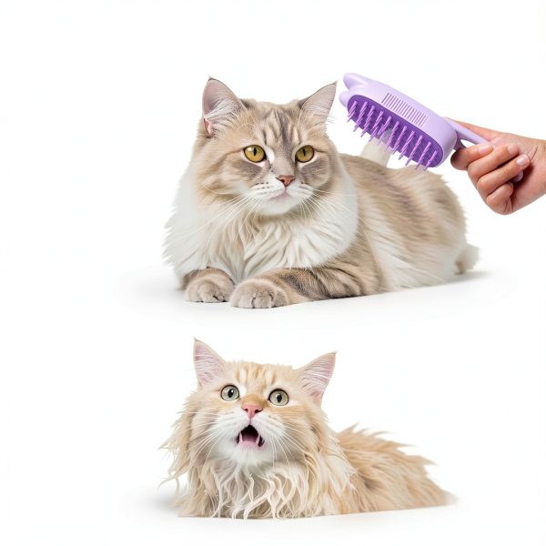 Rechargeable Cat Steam Brush CXCHKK 3-in-1 Mist Spray Purple-3