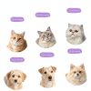 Rechargeable Cat Steam Brush CXCHKK 3-in-1 Mist Spray Purple-4