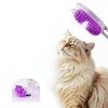 Rechargeable Cat Steam Brush CXCHKK 3-in-1 Mist Spray Purple-1
