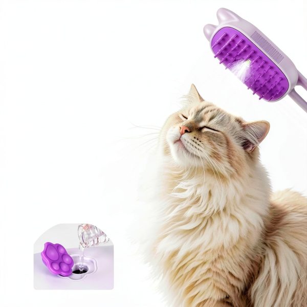 Rechargeable Cat Steam Brush CXCHKK 3-in-1 Mist Spray Purple-1