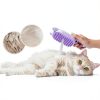 Rechargeable Cat Steam Brush CXCHKK 3-in-1 Mist Spray Purple-2