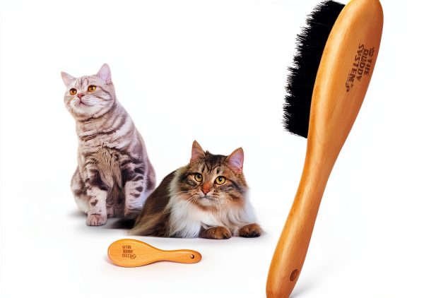 The Buddy System Cat Brush with Boar Bristle and Wooden Handle, Professional Grade Daily Grooming Hairbrush, Reduce Shedding, Soft Hair and Healthy Shine (1 Pack)-2