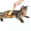 The Buddy System Cat Brush with Boar Bristle and Wooden Handle, Professional Grade Daily Grooming Hairbrush, Reduce Shedding, Soft Hair and Healthy Shine (1 Pack)-3