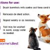 Hartz Grooming Supplies 6-in-1 Brush & Shampoo Combo for Dogs and Cats-5